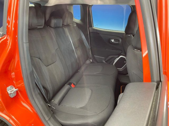 ���㕔���Ȃ��C�ɂȂ�悤�ȃL�Y�E�����ւ��蓙�A�傫�ȃ_���[�W�͂Ȃ��A�ǍD�ȏ�Ԃł��B