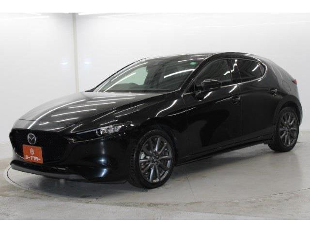 ���Ǝҗl�ւ̔̔��͂��f�肳���Ă��������܂��B �Ԍ������ԗ��̏ꍇ�́A�Ԍ����擾�������x�������z�ŕ\�����Ă���܂��B