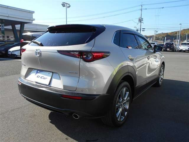 CX-302.0 20S プロアクティブ