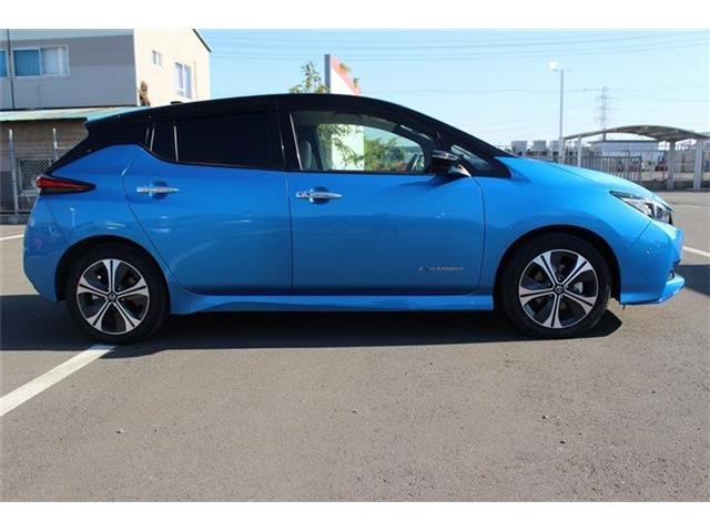 ���Ǝҗl�ւ̔̔��͂��f�肳���Ă��������܂��B �Ԍ������ԗ��̏ꍇ�́A�Ԍ����擾�������x�������z�ŕ\�����Ă���܂��B