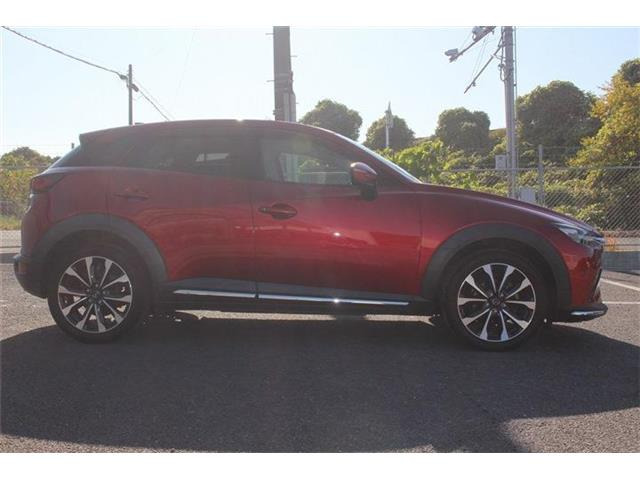 �����X�o���Ȃ����q�l�A���Ǝҗl�ւ̔̔��͂��f�肳���Ă��������܂��B�Ԍ������ԗ��̏ꍇ�́A�Ԍ����擾�������x�������z�ŕ\�����Ă���܂��B