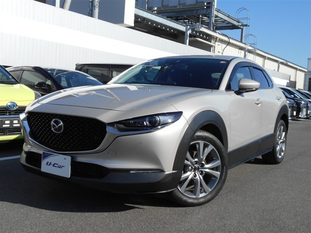 CX-302.0 20S プロアクティブ