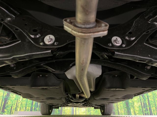 ����肪���ꂢ�Ȃ����ɁA�h�K���H�̎{�H���I�X�X���B�~��n��͂������A���ݕ��ɂ��Z���̕���A��Ń}�����E�E�B���^�[�X�|�[�c���������ɂ��D�]���������Ă���܂��B