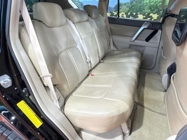 �㕔���Ȃ��C�ɂȂ�悤�ȃL�Y�E�����ւ��蓙�A�傫�ȃ_���[�W�͂Ȃ��A�ǍD�ȏ�Ԃł��B