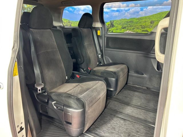 �㕔���Ȃ��C�ɂȂ�悤�ȃL�Y�E�����ւ��蓙�A�傫�ȃ_���[�W�͂Ȃ��A�ǍD�ȏ�Ԃł��B