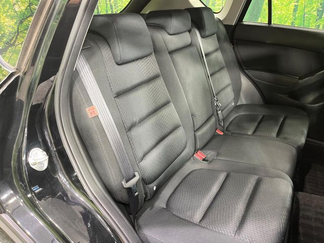 �㕔���Ȃ��C�ɂȂ�悤�ȃL�Y�E�����ւ��蓙�A�傫�ȃ_���[�W�͂Ȃ��A�ǍD�ȏ�Ԃł��B