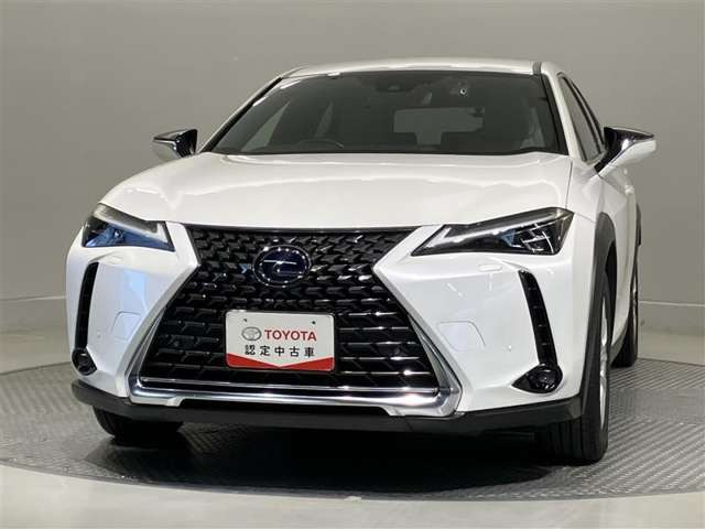 UX250h バージョンC