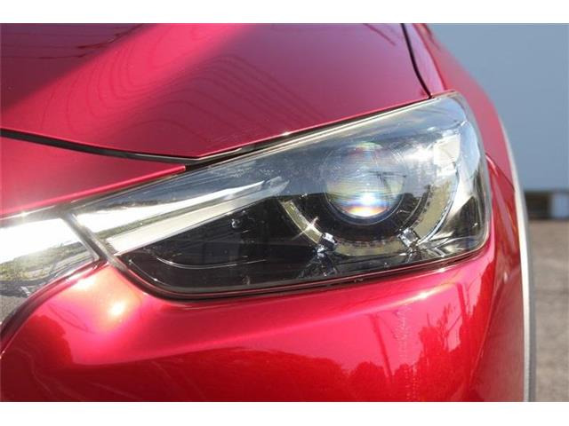 �����X�o���Ȃ����q�l�A���Ǝҗl�ւ̔̔��͂��f�肳���Ă��������܂��B�Ԍ������ԗ��̏ꍇ�́A�Ԍ����擾�������x�������z�ŕ\�����Ă���܂��B