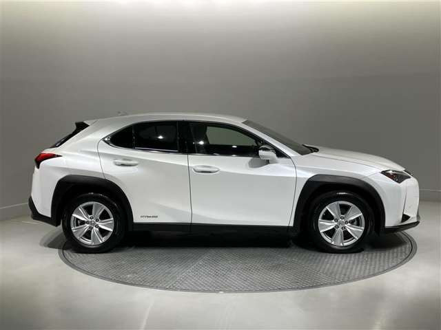 UX250h バージョンC