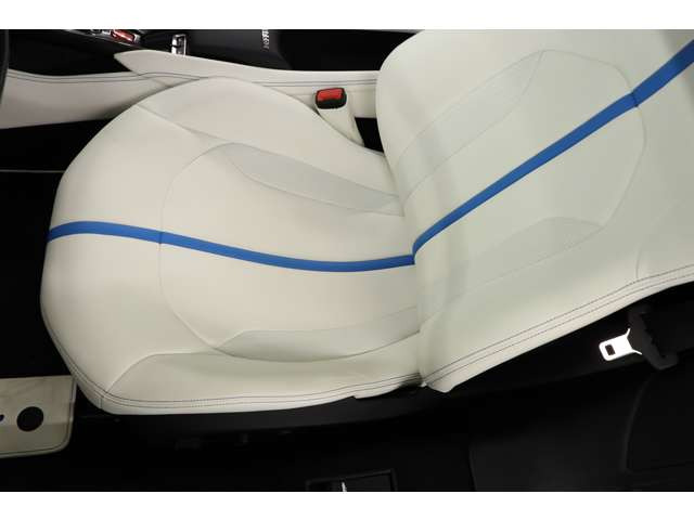 ���ʐF�u���[�R���T�����₩�ɋP��F8�g���u�[�g�B���s4000km�̗ǎ��́B�J�[�{��LED�X�e�A��20�C���`�b���z�C�[���ȂǑ����[���B