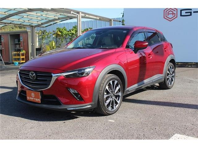 �����X�o���Ȃ����q�l�A���Ǝҗl�ւ̔̔��͂��f�肳���Ă��������܂��B�Ԍ������ԗ��̏ꍇ�́A�Ԍ����擾�������x�������z�ŕ\�����Ă���܂��B