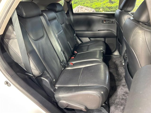 �㕔���Ȃ��C�ɂȂ�悤�ȃL�Y�E�����ւ��蓙�A�傫�ȃ_���[�W�͂Ȃ��A�ǍD�ȏ�Ԃł��B