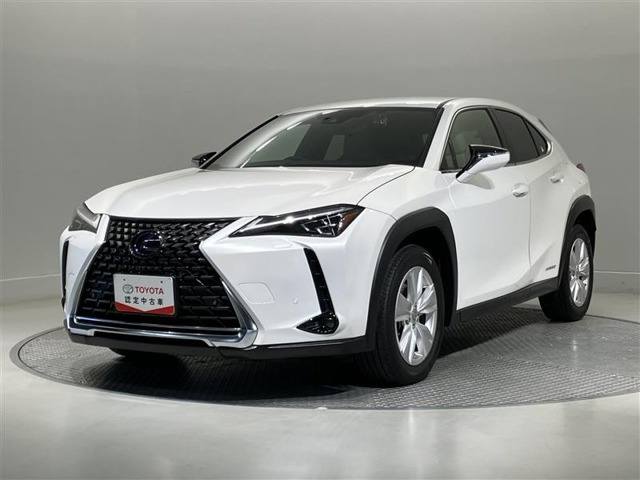 UX250h バージョンC