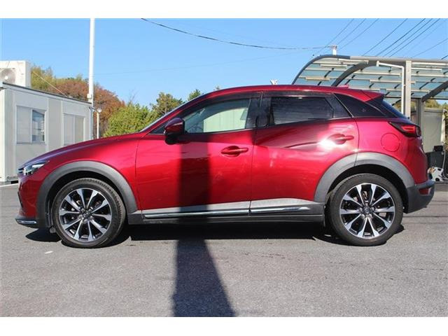 �����X�o���Ȃ����q�l�A���Ǝҗl�ւ̔̔��͂��f�肳���Ă��������܂��B�Ԍ������ԗ��̏ꍇ�́A�Ԍ����擾�������x�������z�ŕ\�����Ă���܂��B