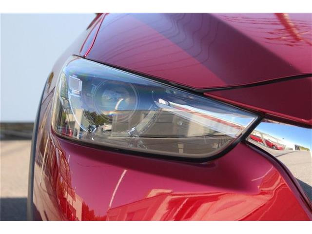 �����X�o���Ȃ����q�l�A���Ǝҗl�ւ̔̔��͂��f�肳���Ă��������܂��B�Ԍ������ԗ��̏ꍇ�́A�Ԍ����擾�������x�������z�ŕ\�����Ă���܂��B