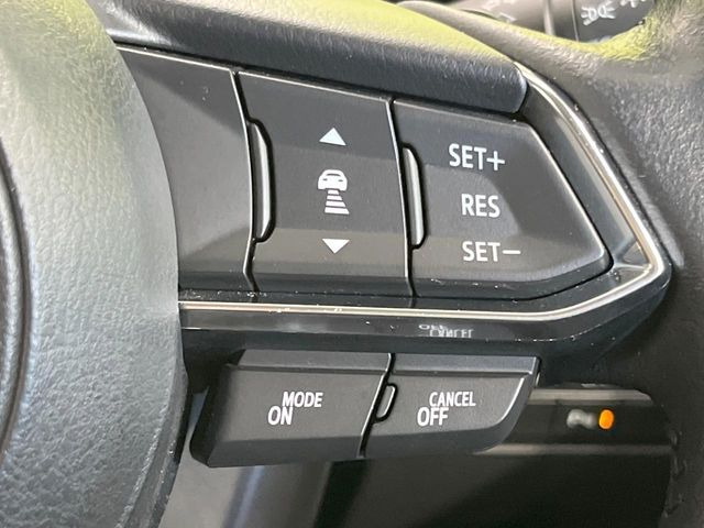 �y�}�c�_�E���[�_�[�N���[�Y�R���g���[���z�������H�ł̒��������s���y��!�����ő��x��ۂN���[�Y�R���g���[�����A�Փˌy���V�X�e���ƘA�g���A�O���̎ԗ������m���ĎԊԂ�ۂ悤�ɑ��x���߂��Ă���܂�!!