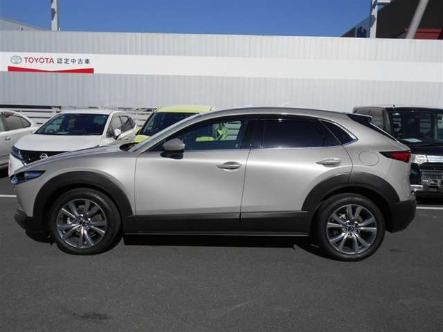 CX-302.0 20S プロアクティブ