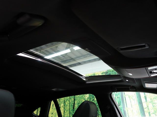 �y���[�����[�t�z�J���������Ղ�̊󏭑����A���[�����[�t����������Ă��܂�!�ԓ��ɖ�����������ꂽ��i�F���y���ވȊO�ɂ��A�ԓ��̋�C���ȒP�Ɋ��C�ł��ĉ��K�ł�!