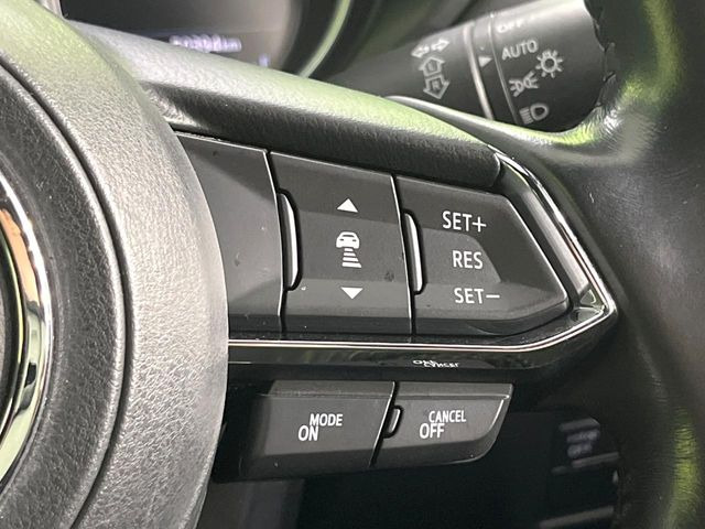 �y�}�c�_�E���[�_�[�N���[�Y�R���g���[���z�������H�ł̒��������s���y��!�����ő��x��ۂN���[�Y�R���g���[�����A�Փˌy���V�X�e���ƘA�g���A�O���̎ԗ������m���ĎԊԂ�ۂ悤�ɑ��x���߂��Ă���܂�!!