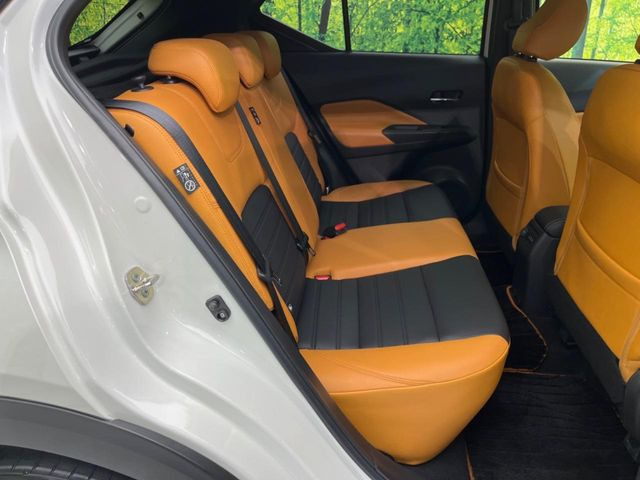 �㕔���Ȃ��C�ɂȂ�悤�ȃL�Y�E�����ւ��蓙�A�傫�ȃ_���[�W�͂Ȃ��A�ǍD�ȏ�Ԃł��B