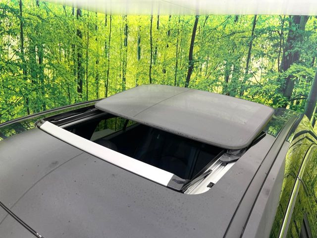 �y�T�����[�t�z�J���������Ղ�̊󏭑����A�T�����[�t����������Ă��܂�!�ԓ��ɖ�����������ꂽ��i�F���y���ވȊO�ɂ��A�ԓ��̋�C���ȒP�Ɋ��C�ł��ĉ��K�ł�!