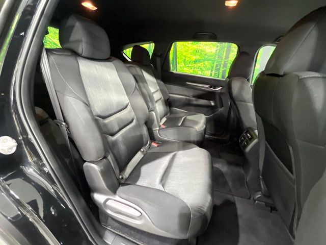 �㕔���Ȃ��C�ɂȂ�悤�ȃL�Y�E�����ւ��蓙�A�傫�ȃ_���[�W�͂Ȃ��A�ǍD�ȏ�Ԃł��B