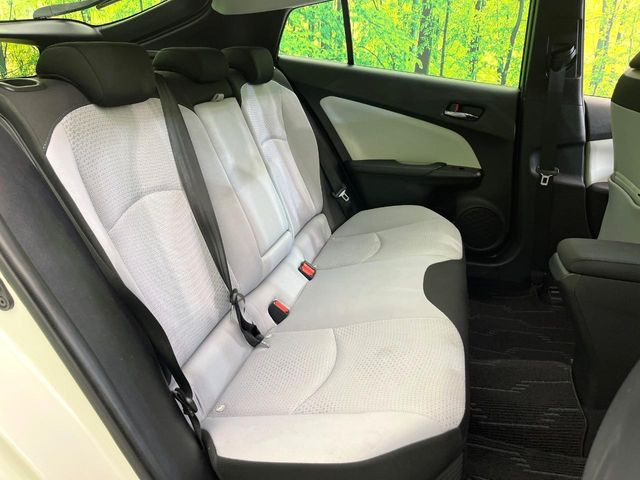 �㕔���Ȃ��C�ɂȂ�悤�ȃL�Y�E�����ւ��蓙�A�傫�ȃ_���[�W�͂Ȃ��A�ǍD�ȏ�Ԃł��B