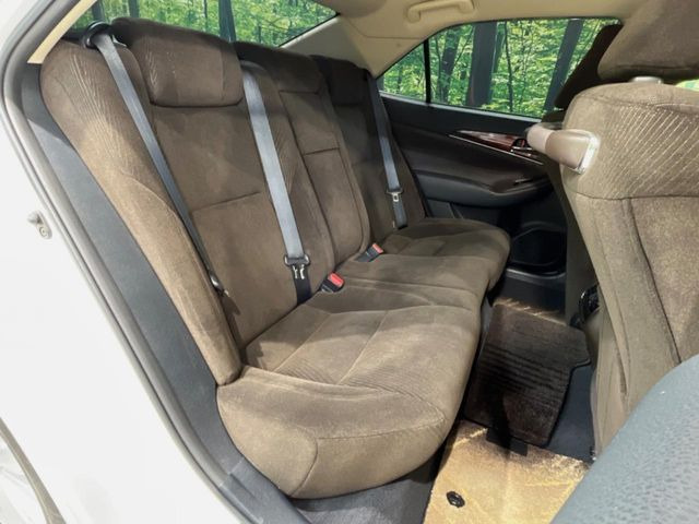 �㕔���Ȃ��C�ɂȂ�悤�ȃL�Y�E�����ւ��蓙�A�傫�ȃ_���[�W�͂Ȃ��A�ǍD�ȏ�Ԃł��B