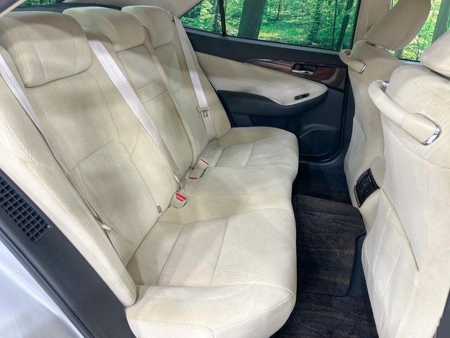 �㕔���Ȃ��C�ɂȂ�悤�ȃL�Y�E�����ւ��蓙�A�傫�ȃ_���[�W�͂Ȃ��A�ǍD�ȏ�Ԃł��B