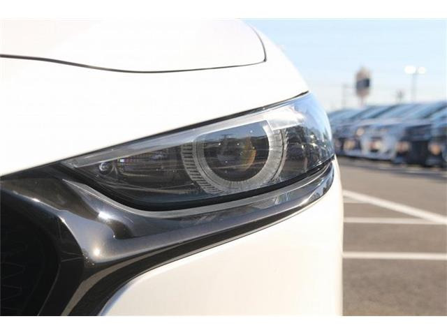 �̔��͂����X���������邨�q�l����ł��B���Ǝҗl�ւ̔̔��͂��f�肳���Ă��������܂��B�Ԍ������ԗ��̏ꍇ�́A�Ԍ����擾�������x�������z�ŕ\�����Ă���܂��B