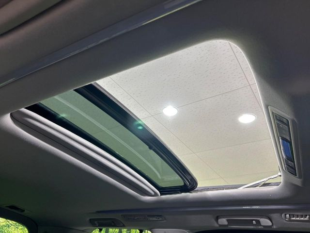 �y�T�����[�t�z�J���������Ղ�̊󏭑����A�T�����[�t����������Ă��܂�!�ԓ��ɖ�����������ꂽ��i�F���y���ވȊO�ɂ��A�ԓ��̋�C���ȒP�Ɋ��C�ł��ĉ��K�ł�!