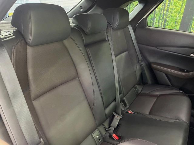 �㕔���Ȃ��C�ɂȂ�悤�ȃL�Y�E�����ւ��蓙�A�傫�ȃ_���[�W�͂Ȃ��A�ǍD�ȏ�Ԃł��B