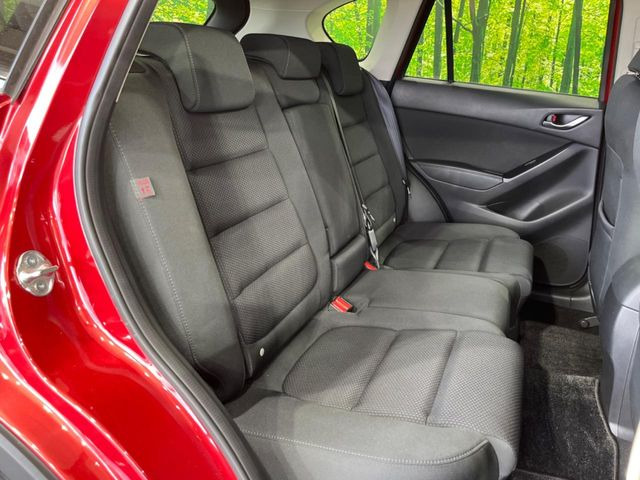 �㕔���Ȃ��C�ɂȂ�悤�ȃL�Y�E�����ւ��蓙�A�傫�ȃ_���[�W�͂Ȃ��A�ǍD�ȏ�Ԃł��B