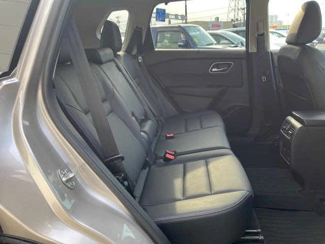 �㕔���Ȃ��C�ɂȂ�悤�ȃL�Y�E�����ւ��蓙�A�傫�ȃ_���[�W�͂Ȃ��A�ǍD�ȏ�Ԃł��B