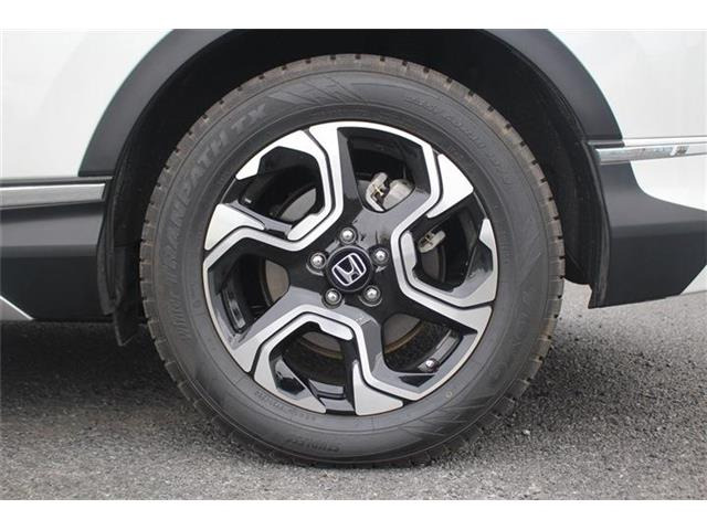 ���Ǝҗl�ւ̔̔��͂��f�肳���Ă��������܂��B �Ԍ������ԗ��̏ꍇ�́A�Ԍ����擾�������x�������z�ŕ\�����Ă���܂��B