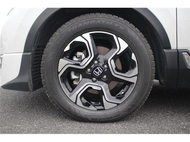 ���Ǝҗl�ւ̔̔��͂��f�肳���Ă��������܂��B �Ԍ������ԗ��̏ꍇ�́A�Ԍ����擾�������x�������z�ŕ\�����Ă���܂��B