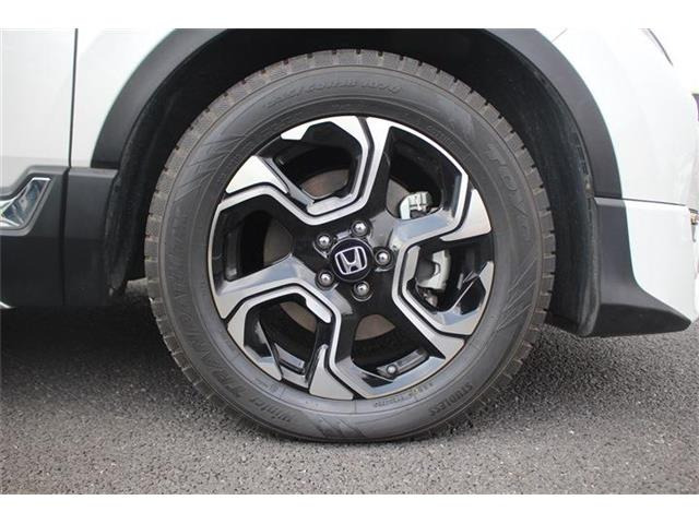 ���Ǝҗl�ւ̔̔��͂��f�肳���Ă��������܂��B �Ԍ������ԗ��̏ꍇ�́A�Ԍ����擾�������x�������z�ŕ\�����Ă���܂��B