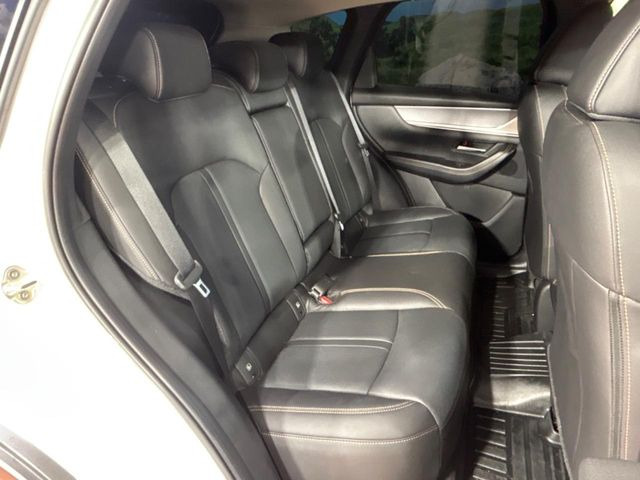 �㕔���Ȃ��C�ɂȂ�悤�ȃL�Y�E�����ւ��蓙�A�傫�ȃ_���[�W�͂Ȃ��A�ǍD�ȏ�Ԃł��B