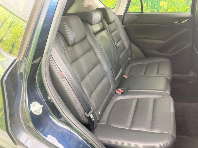 �㕔���Ȃ��C�ɂȂ�悤�ȃL�Y�E�����ւ��蓙�A�傫�ȃ_���[�W�͂Ȃ��A�ǍD�ȏ�Ԃł��B