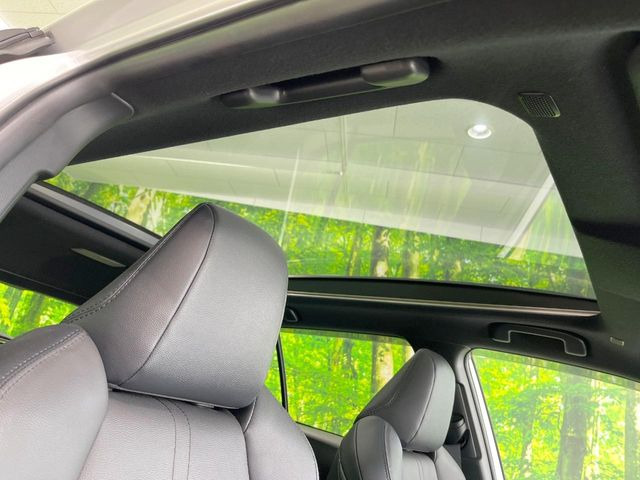 �y�K���X���[�t�z�K���X���[�t���ڂŎԓ��̉��������C�ɃA�b�v!�J���I�ȃh���C�u�����y���݂��������܂��B