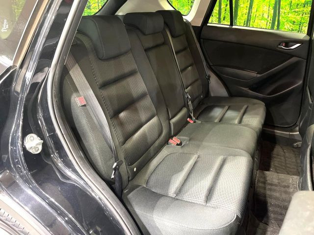 �㕔���Ȃ��C�ɂȂ�悤�ȃL�Y�E�����ւ��蓙�A�傫�ȃ_���[�W�͂Ȃ��A�ǍD�ȏ�Ԃł��B