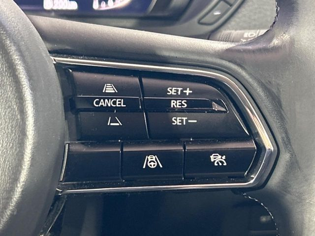 �y�}�c�_�E���[�_�[�N���[�Y�R���g���[���z�������H�ł̒��������s���y��!�����ő��x��ۂN���[�Y�R���g���[�����A�Փˌy���V�X�e���ƘA�g���A�O���̎ԗ������m���ĎԊԂ�ۂ悤�ɑ��x���߂��Ă���܂�!!