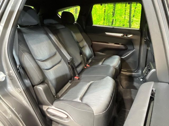 �㕔���Ȃ��C�ɂȂ�悤�ȃL�Y�E�����ւ��蓙�A�傫�ȃ_���[�W�͂Ȃ��A�ǍD�ȏ�Ԃł��B