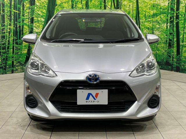 ��D�]�𒸂��Ă���܂��{�f�B�̒e�X�v���b�V���R�[�g���D�]��t���B�ʏ�̃K���X�R�[�g�ƈقȂ�A�ϋv�N��6�N�̖��@���K���X�R�[�e�B���O���A�{�f�B���L���C�ȏ�Ԃɕۂ��Ă���܂��B