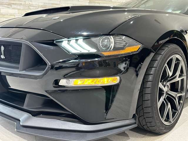 �y�S���[�ԉz�ꕔ�����������A�S�����[�ԑΉ����Ă���܂��B�k�C�����牫��܂ŁA��g������ЂɂĂ��͂��������܂��B