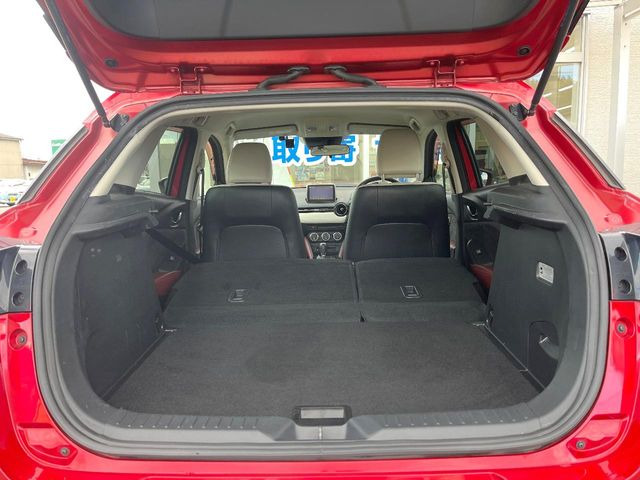 �㕔���Ȃ��C�ɂȂ�悤�ȃL�Y�E�����ւ��蓙�A�傫�ȃ_���[�W�͂Ȃ��A�ǍD�ȏ�Ԃł��B