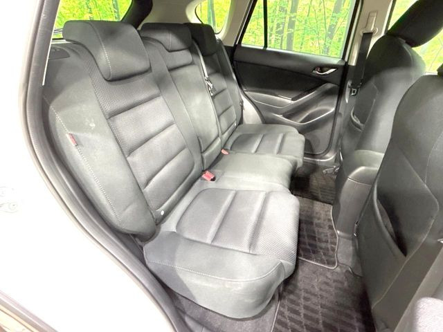 �㕔���Ȃ��C�ɂȂ�悤�ȃL�Y�E�����ւ��蓙�A�傫�ȃ_���[�W�͂Ȃ��A�ǍD�ȏ�Ԃł��B