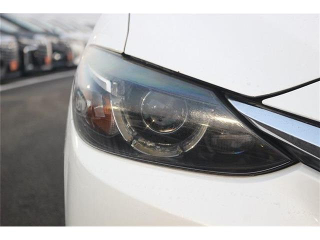 ���Ǝҗl�ւ̔̔��͂��f�肳���Ă��������܂��B �Ԍ������ԗ��̏ꍇ�́A�Ԍ����擾�������x�������z�ŕ\�����Ă���܂��B