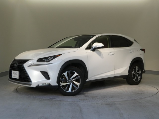 NX300 Iパッケージ