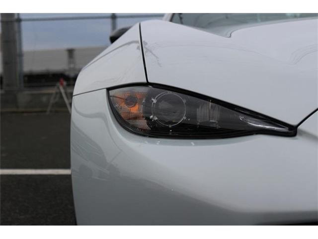 ���Ǝҗl�ւ̔̔��͂��f�肳���Ă��������܂��B �Ԍ������ԗ��̏ꍇ�́A�Ԍ����擾�������x�������z�ŕ\�����Ă���܂��B